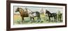 Horse Breeds: Belgian and Percheron Draft Horses, a Trotter, An Arabian, and a Donkey-null-Framed Giclee Print