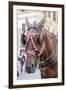 Horse Carriage. Rome. Italy.-Tom Norring-Framed Photographic Print