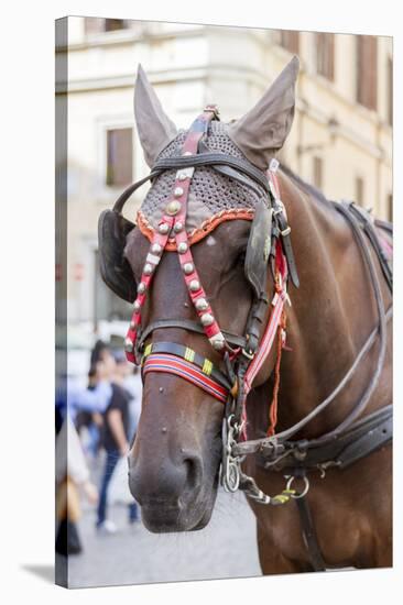 Horse Carriage. Rome. Italy.-Tom Norring-Stretched Canvas