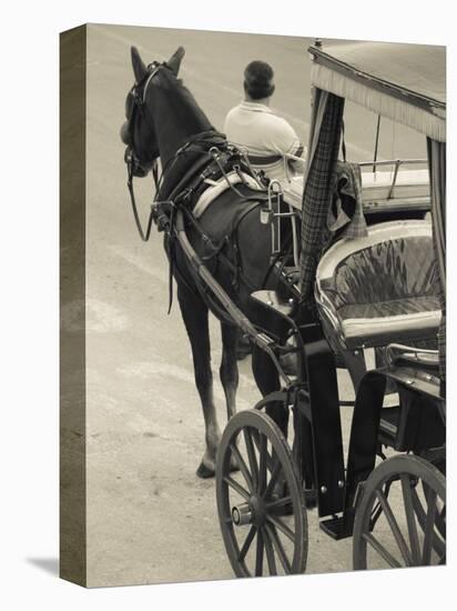 Horse Carriages at Pinto Wharf, Floriana, Valletta, Malta-Walter Bibikow-Stretched Canvas