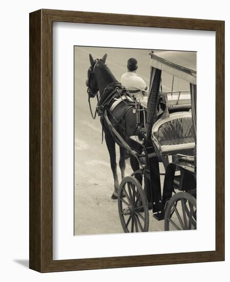 Horse Carriages at Pinto Wharf, Floriana, Valletta, Malta-Walter Bibikow-Framed Photographic Print