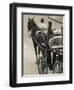 Horse Carriages at Pinto Wharf, Floriana, Valletta, Malta-Walter Bibikow-Framed Photographic Print