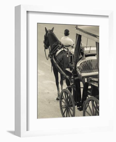 Horse Carriages at Pinto Wharf, Floriana, Valletta, Malta-Walter Bibikow-Framed Photographic Print