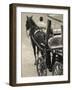 Horse Carriages at Pinto Wharf, Floriana, Valletta, Malta-Walter Bibikow-Framed Photographic Print