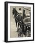 Horse Carriages at Pinto Wharf, Floriana, Valletta, Malta-Walter Bibikow-Framed Photographic Print