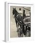 Horse Carriages at Pinto Wharf, Floriana, Valletta, Malta-Walter Bibikow-Framed Photographic Print