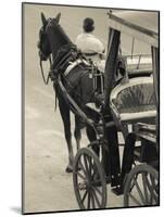Horse Carriages at Pinto Wharf, Floriana, Valletta, Malta-Walter Bibikow-Mounted Photographic Print