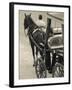 Horse Carriages at Pinto Wharf, Floriana, Valletta, Malta-Walter Bibikow-Framed Photographic Print