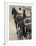 Horse Carriages at Pinto Wharf, Floriana, Valletta, Malta-Walter Bibikow-Framed Photographic Print