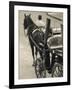 Horse Carriages at Pinto Wharf, Floriana, Valletta, Malta-Walter Bibikow-Framed Photographic Print