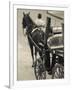 Horse Carriages at Pinto Wharf, Floriana, Valletta, Malta-Walter Bibikow-Framed Photographic Print