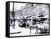 Horse Cart with Barrels, Philadelphia, Pennsylvania-null-Framed Stretched Canvas