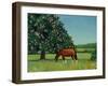 Horse Chestnut, 2001-Ann Brain-Framed Giclee Print