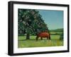 Horse Chestnut, 2001-Ann Brain-Framed Giclee Print