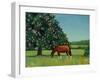 Horse Chestnut, 2001-Ann Brain-Framed Giclee Print