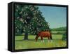 Horse Chestnut, 2001-Ann Brain-Framed Stretched Canvas