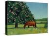 Horse Chestnut, 2001-Ann Brain-Stretched Canvas