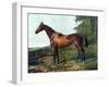 Horse Chromolithograph "Fair Nell," 1800s-Piddix-Framed Art Print