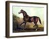 Horse Chromolithograph "Thoroughbred Sire Blair Athol," 1867-Piddix-Framed Art Print