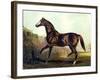 Horse Chromolithograph "Thoroughbred Sire Blair Athol," 1867-Piddix-Framed Art Print