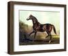 Horse Chromolithograph "Thoroughbred Sire Blair Athol," 1867-Piddix-Framed Art Print