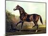 Horse Chromolithograph "Thoroughbred Sire Blair Athol," 1867-Piddix-Mounted Art Print