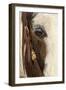 Horse close-up in winter, Kalispell, Montana.-Adam Jones-Framed Photographic Print