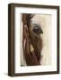 Horse close-up in winter, Kalispell, Montana.-Adam Jones-Framed Photographic Print