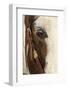 Horse close-up in winter, Kalispell, Montana.-Adam Jones-Framed Photographic Print