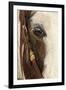 Horse close-up in winter, Kalispell, Montana.-Adam Jones-Framed Photographic Print