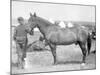 Horse "Comanche" the sole Survivor of the Custer Massacre Photograph - South Dakota-Lantern Press-Mounted Art Print