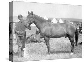 Horse "Comanche" the sole Survivor of the Custer Massacre Photograph - South Dakota-Lantern Press-Stretched Canvas