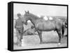 Horse "Comanche" the sole Survivor of the Custer Massacre Photograph - South Dakota-Lantern Press-Framed Stretched Canvas