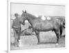 Horse "Comanche" the sole Survivor of the Custer Massacre Photograph - South Dakota-Lantern Press-Framed Art Print