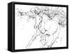 Horse Contour 2-Stefano Altamura-Framed Stretched Canvas