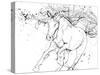 Horse Contour 2-Stefano Altamura-Stretched Canvas