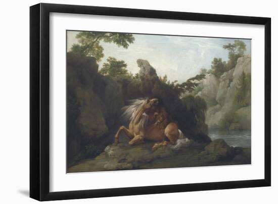 Horse Devoured by a Lion-George Stubbs-Framed Giclee Print