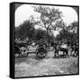 Horse-Drawn Artillery, World War I, 1914-1918-null-Framed Stretched Canvas