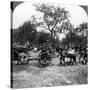 Horse-Drawn Artillery, World War I, 1914-1918-null-Stretched Canvas