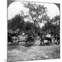Horse-Drawn Artillery, World War I, 1914-1918-null-Mounted Photographic Print