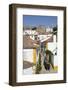 Horse drawn carriage, and overview of City with Medieval Castle in the background, Obidos, Portugal-Richard Maschmeyer-Framed Photographic Print