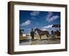 Horse-Drawn Carriage at Castillo De San Marcos National Monument, St Augustine, Florida, 1946-Eliot Elisofon-Framed Photographic Print