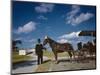 Horse-Drawn Carriage at Castillo De San Marcos National Monument, St Augustine, Florida, 1946-Eliot Elisofon-Mounted Photographic Print