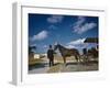 Horse-Drawn Carriage at Castillo De San Marcos National Monument, St Augustine, Florida, 1946-Eliot Elisofon-Framed Photographic Print