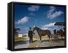 Horse-Drawn Carriage at Castillo De San Marcos National Monument, St Augustine, Florida, 1946-Eliot Elisofon-Framed Stretched Canvas