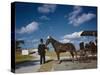 Horse-Drawn Carriage at Castillo De San Marcos National Monument, St Augustine, Florida, 1946-Eliot Elisofon-Stretched Canvas