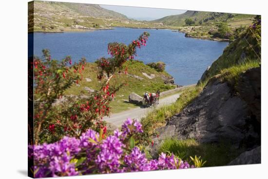 Horse-drawn carriage at Gap of Dunloe, County Kerry, Munster, Ireland-null-Stretched Canvas