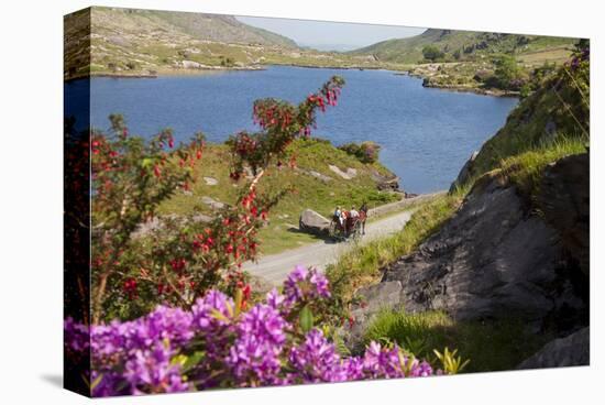 Horse-drawn carriage at Gap of Dunloe, County Kerry, Munster, Ireland-null-Stretched Canvas