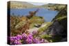 Horse-drawn carriage at Gap of Dunloe, County Kerry, Munster, Ireland-null-Stretched Canvas