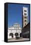 Horse Drawn Carriage Crossing the Piazza San Martino, Lucca, Tuscany, Italy, Europe-James Emmerson-Framed Stretched Canvas